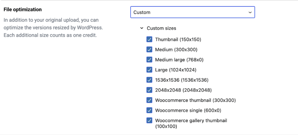 image 8 Understanding WordPress Image Sizes and How to Manage Them image 8 Understanding WordPress Image Sizes and How to Manage Them 2